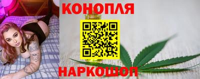 прущие грибы Бузулук