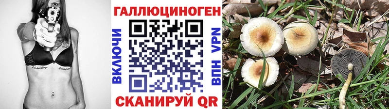 Псилоцибиновые грибы GOLDEN TEACHER  где можно купить наркотик  МЕГА как зайти  Ипатово 