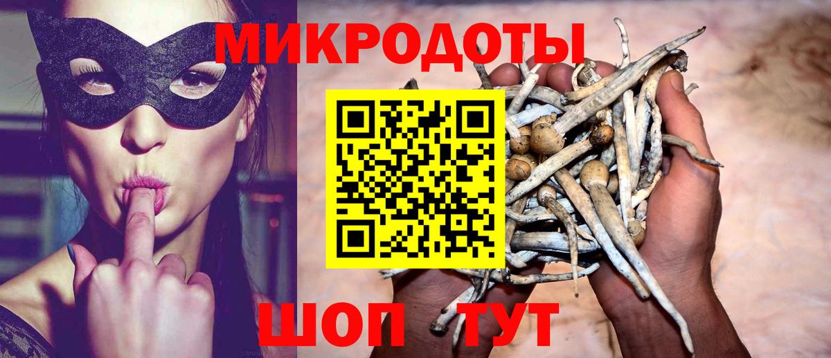 Псилоцибиновые грибы Cubensis Ипатово